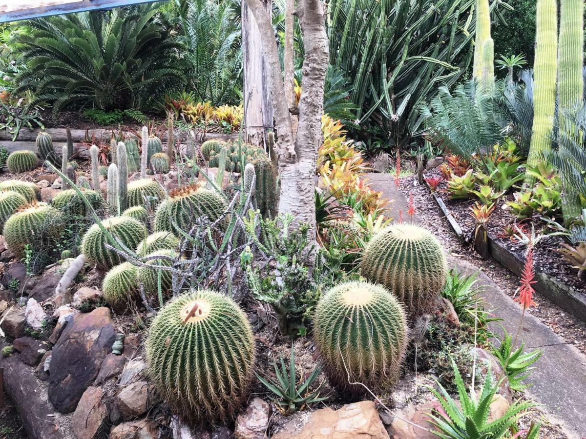 Ancient Gardens Guesthouse & Botanical Gardens Eudlo Eksteriør billede